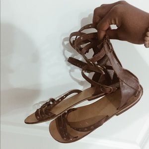 Brown gladiators